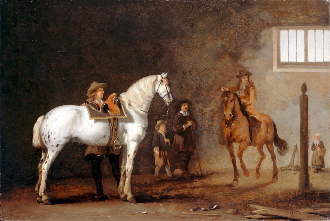 Weißes Pferd in einer Reitschule - Abraham van Calraet as art print or hand  painted oil.