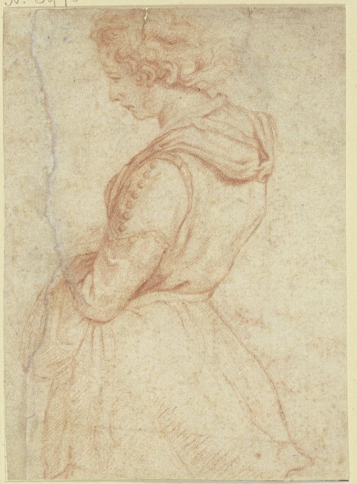 Junge Frau im Profil nach links, Halbfigur from Agnolo Bronzino