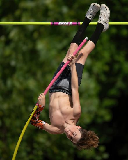 The Intrepid Pole Vaulter