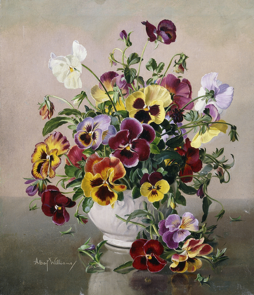 A Still Life with Pansies from Albert  Williams