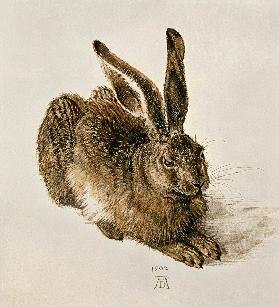 A Young Hare - Albrecht Dürer