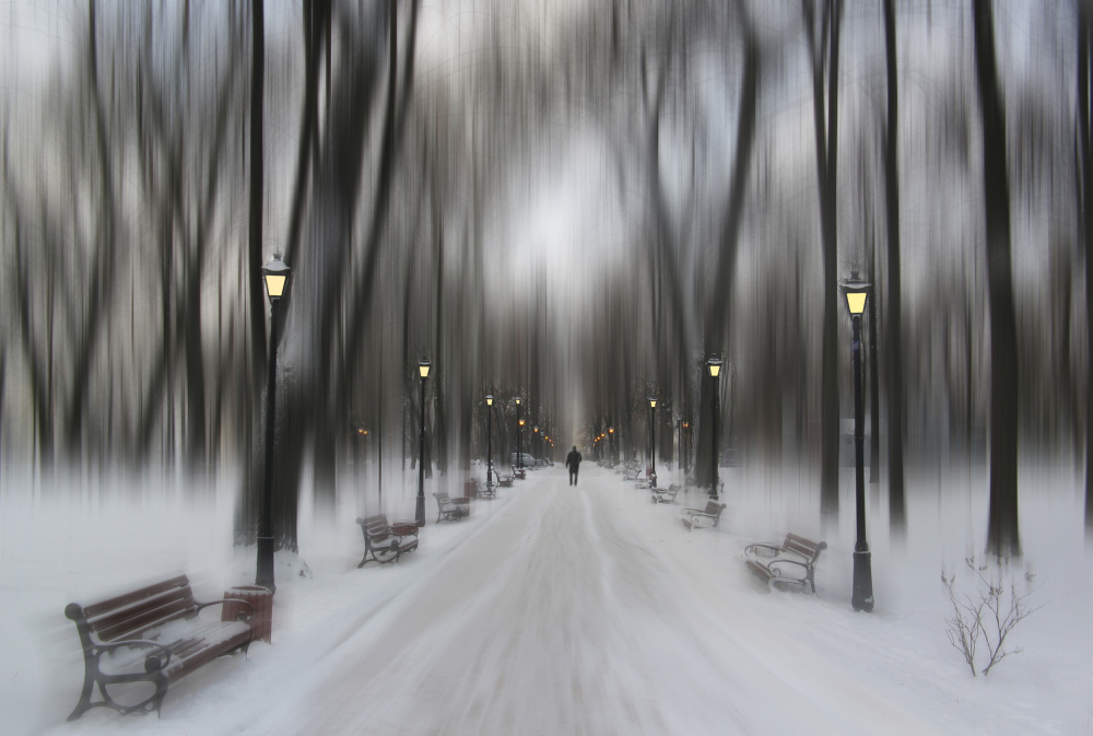 Winter park from Alexander Kiyashko