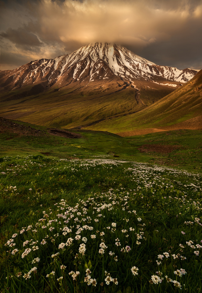 North face of Damavand from Ali Fallahzadeh