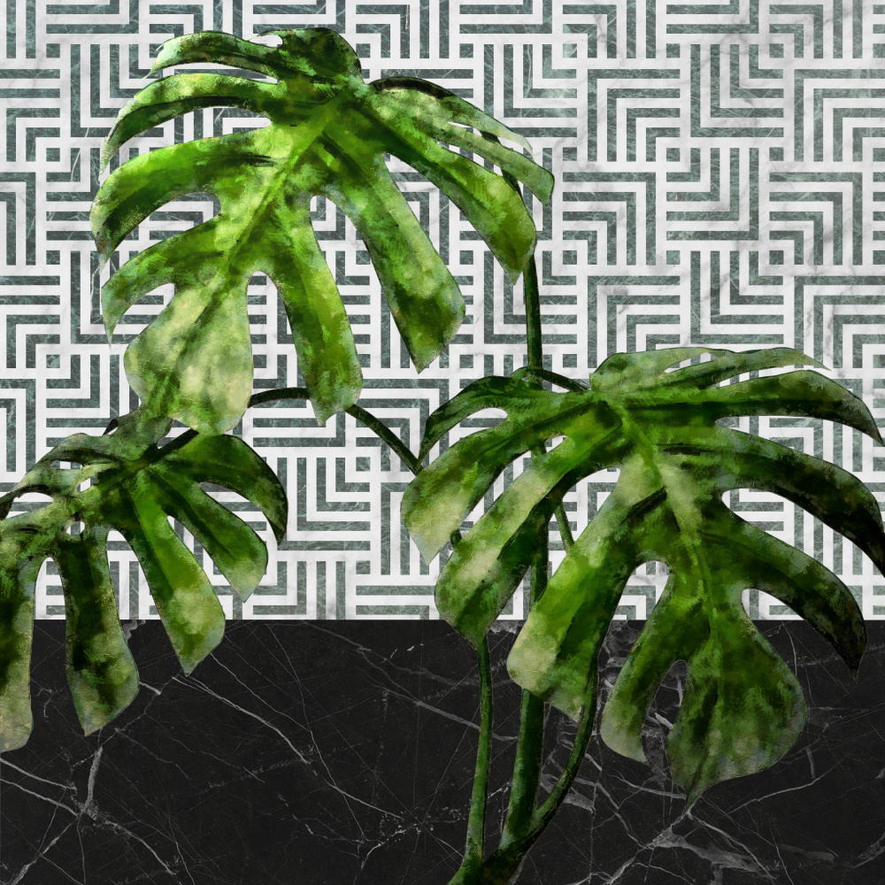 Monstera Leaves on Tiled Wall from amini54