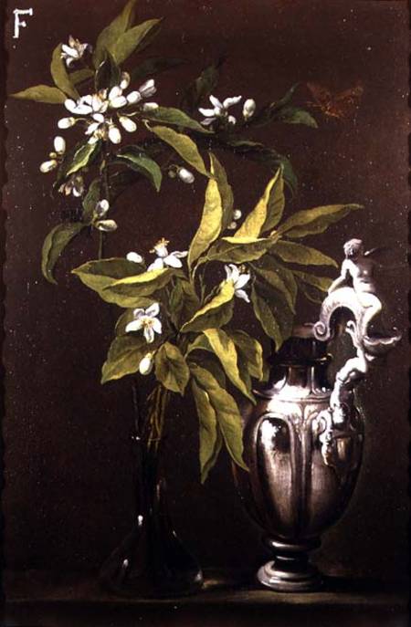 Still Life of Flowers and a Vase from Andrea Belvedere