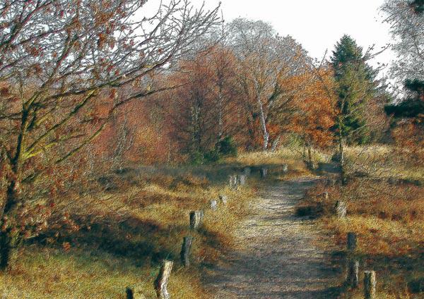 Trail in Hamburg