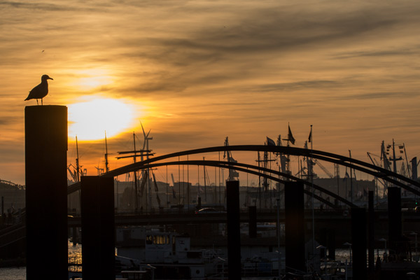 Moewe Hafen (Hamburg) from Birge George