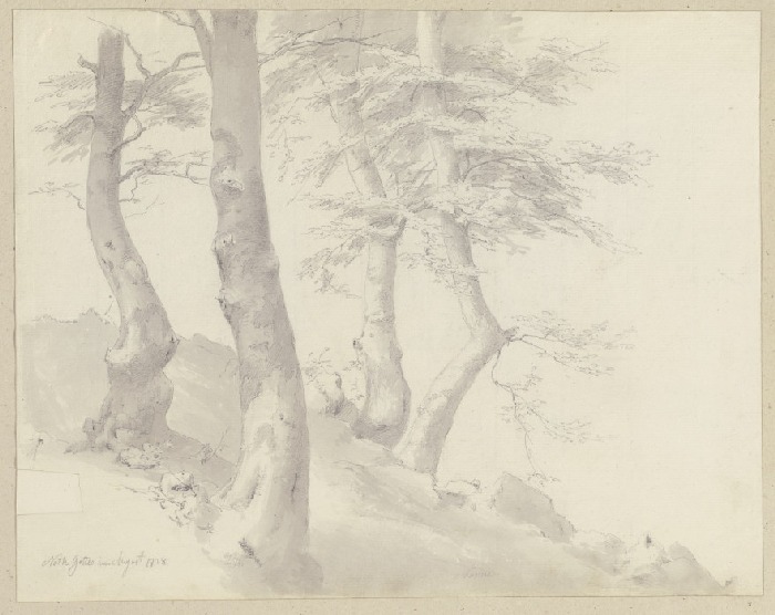 Trees on a slope from Carl Theodor Reiffenstein