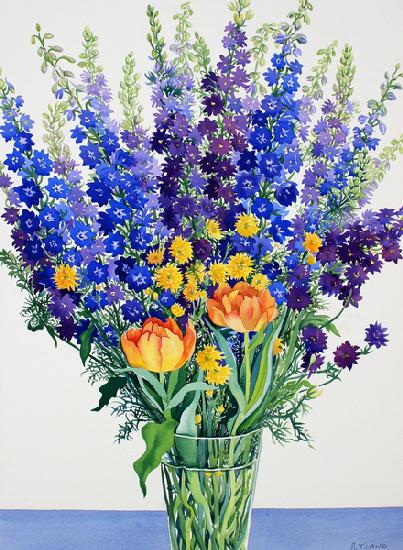 Larkspur and Delphiniums