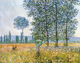Fields in Spring - Claude Monet
