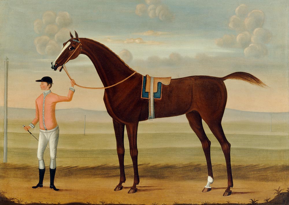 A Bay Racehorse with his Jockey on a Racecourse from Daniel Quigley