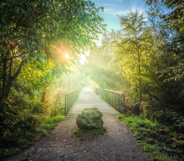 Fotografie von Morgensonne an der Lauer in Leipzig, Brücke im Nebel from Dennis Wetzel