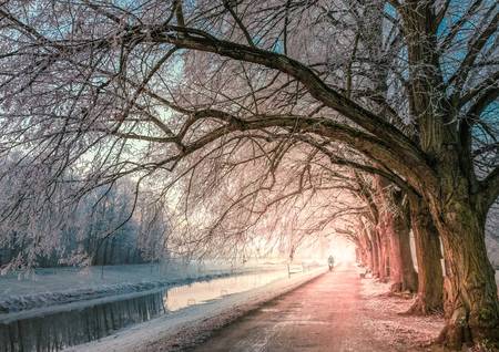 Die Weiße Elster Leipzig mit weißen Winterwald 2 Querformat