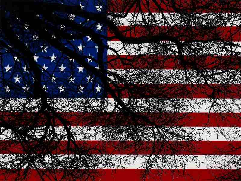 Amerikanische Flagge hinter dem Baum from Christophe Didillon