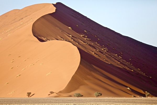 Dune, Sossusvlei from Eric Meyer