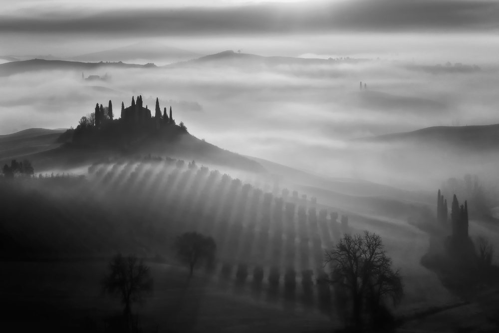 Tuscany fog from Fabrizio Massetti