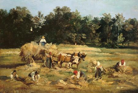 Harvest at Schrobenhausen