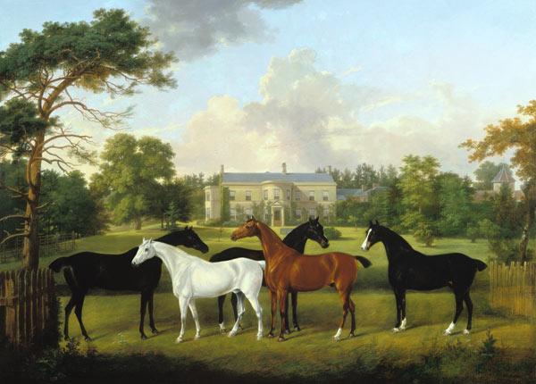 Five racehorses in front of an English country house.