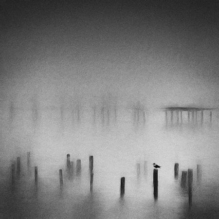 Fading Pier