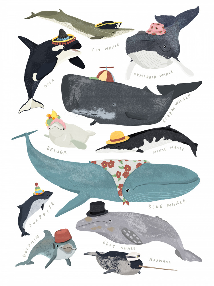 Whales In Hats from Hanna Melin