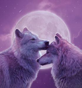 Loving Wolves