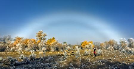 Fog bow