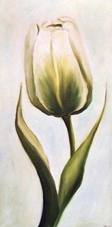 White tulip 2 2001