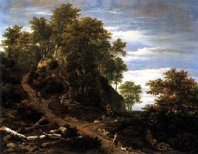 Hilly landscape