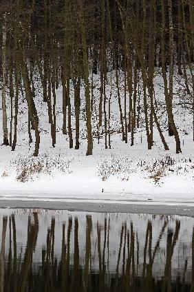 Die Zschopau im Winter