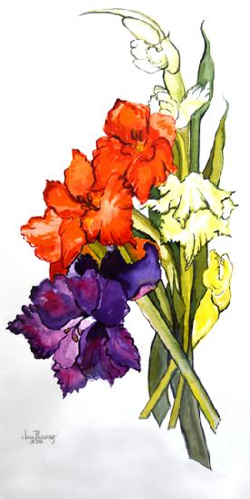 Gladioli