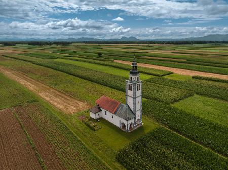 Sorško polje