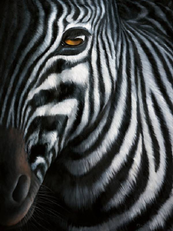 Image:   - Zebra I
