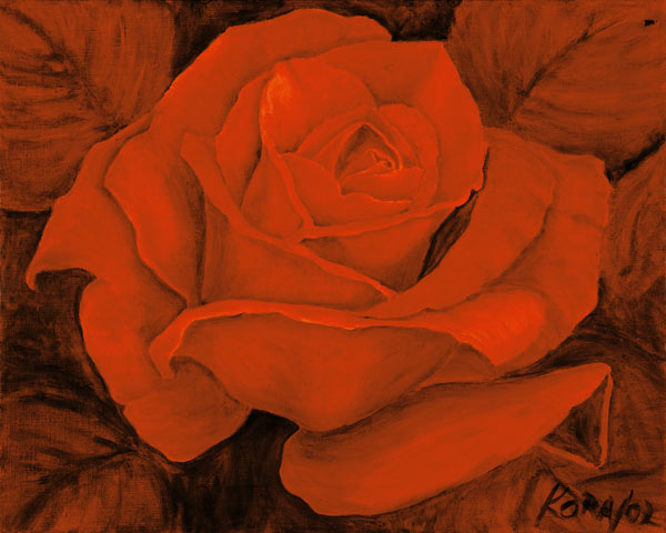 Red Rose Castella - Kora Olbrich as art print or hand painted oil.
