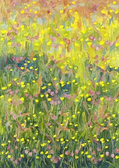 Summer Meadow