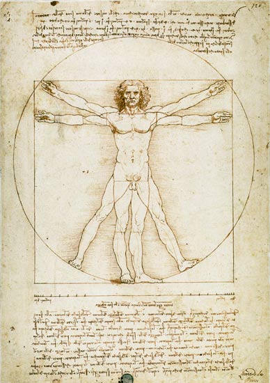 Vitruvian man(proportion drawing) from Leonardo da Vinci