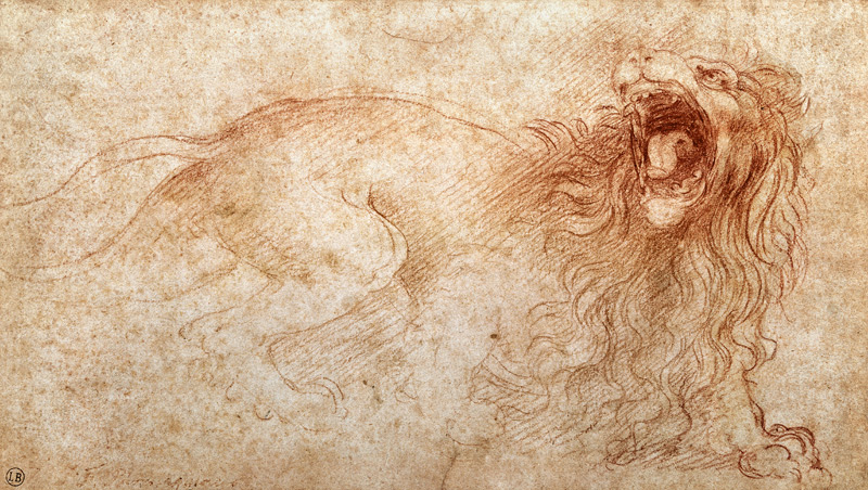 Sketch of a roaring lion - Leonardo da Vinci as art print or hand painted  oil.