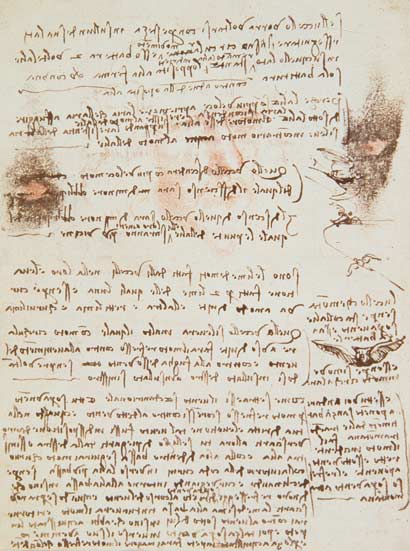 Manuscript page from Codici Rari III 35. - Leonardo da Vinci as art print  or hand painted oil.