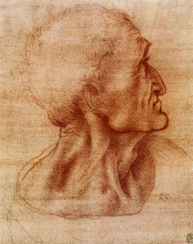 Study for the Holy Communion (Judas) - Leonardo da Vinci as art print or  hand painted oil.