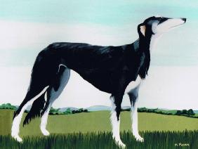 Saluki Cross