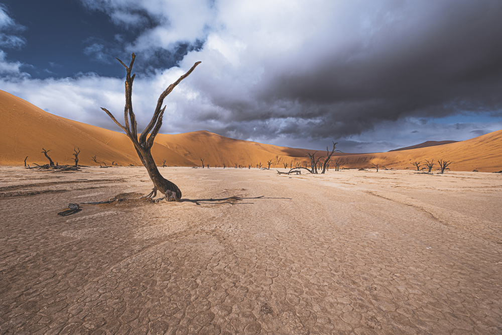 The past life of Deadvlei from Marco Tagliarino