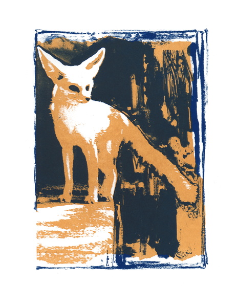 Little Desert Fox from Mark  Adlington