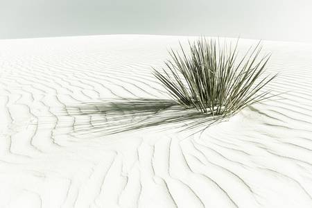 WHITE SANDS Idyllic scenery | Vintage