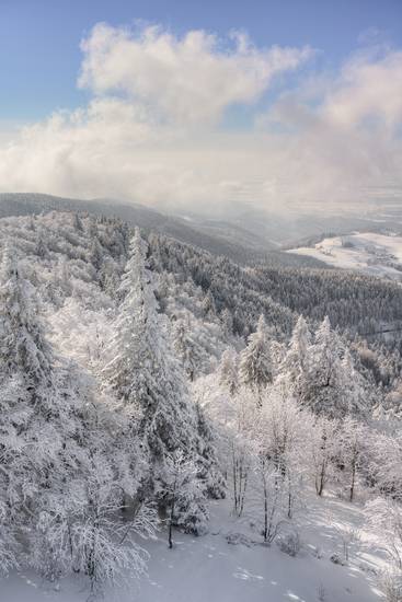 Winter im Schwarzwald - Blick vom Schauinsland bei Freiburg