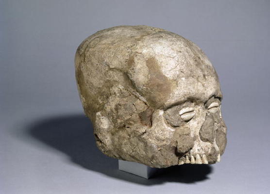 Portrait skull with cowrie shell eyes, Jericho, c.7th millennium BC (skull, plaster and shell) (side from 