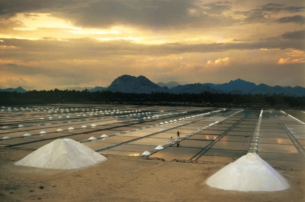 Salt-pans north of Kanyakumari (photo)  from 