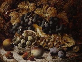 Still Life of Fruit