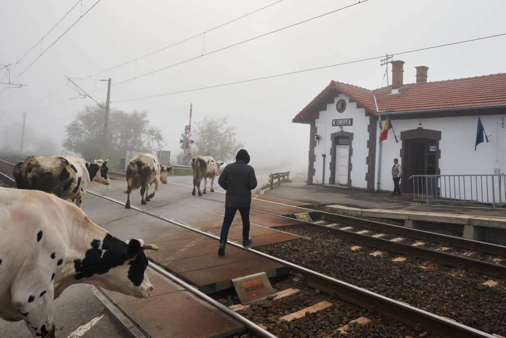 Morning at the Station from Panfil Pirvulescu