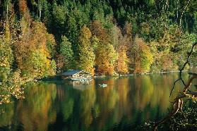 Farbenrausch am Alpsee