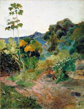 Tropical Vegetation, Martinique 1887