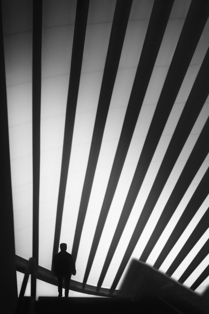Trails from Paulo Abrantes